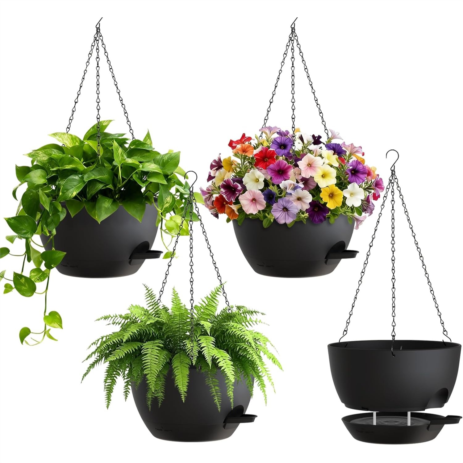 Spider Plant Hanging - 8 Inch Self Watering Hanging Planters