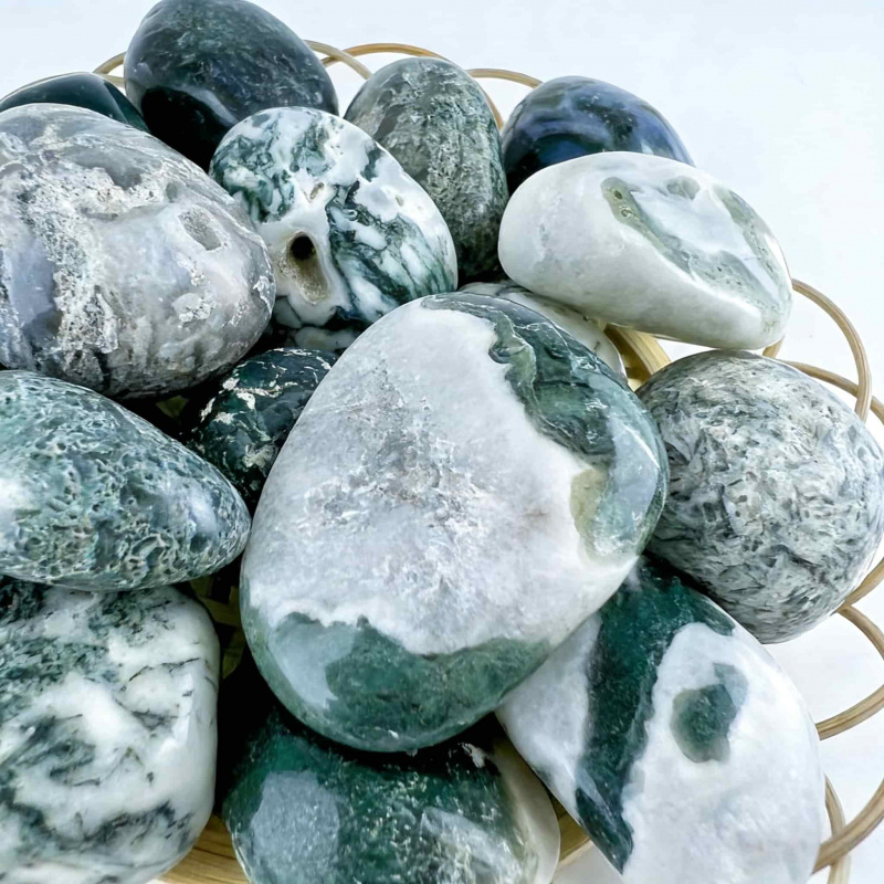 Natural Moss Agate Crushed Sto - Echeveria Succulent recensione e prezzo