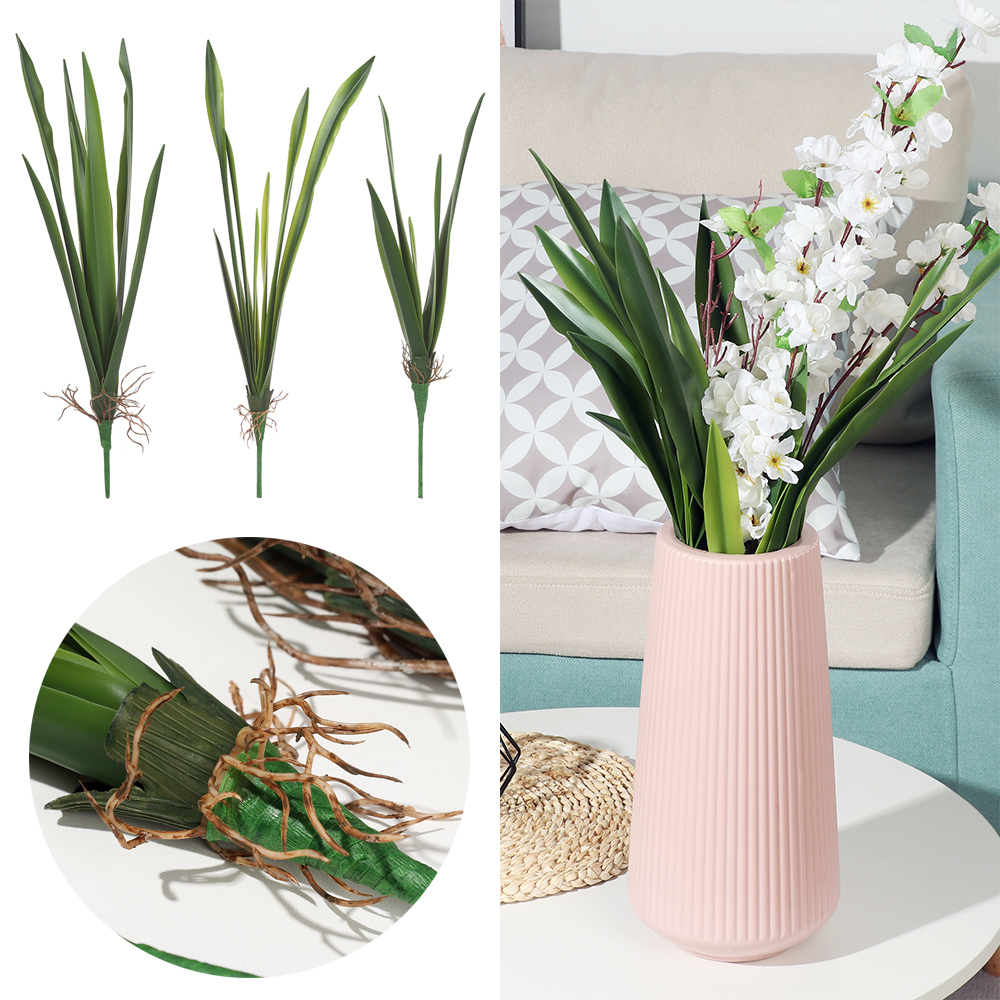 New Party Supplies High Grade  - Dracaena Marginata recensione e prezzo