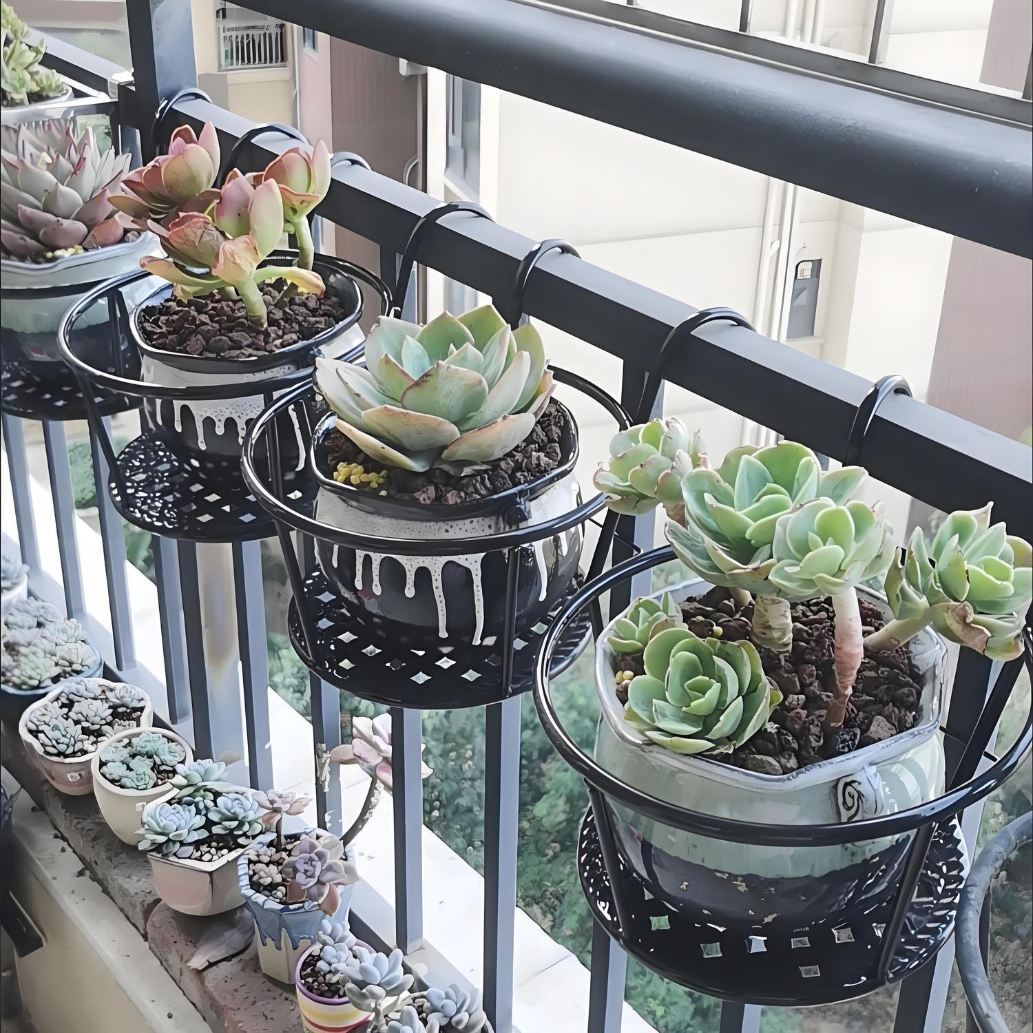 Wrought Iron Balcony Hanging F - Spider Plant Hanging recensione e prezzo