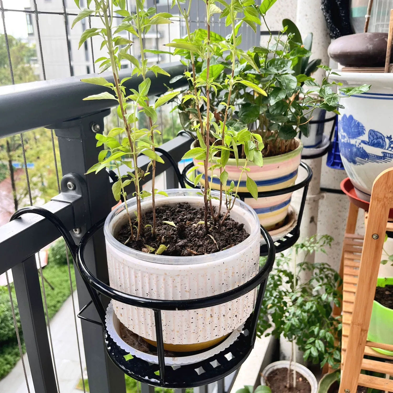 Wrought Iron Balcony Hanging F - Spider Plant Hanging recensione e prezzo