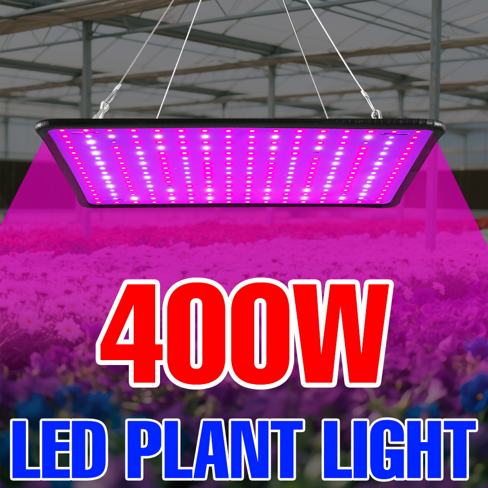 400W LED Grow Light Full Spect - Echeveria Succulent recensione e prezzo