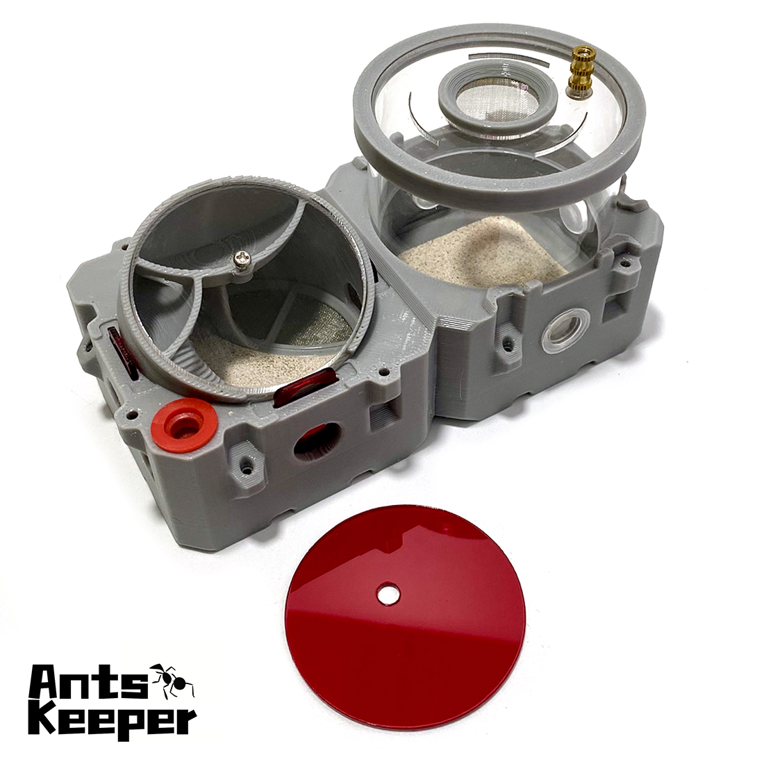 【Lego】Expandable Modular Formi - Begonia Rex recensione e prezzo