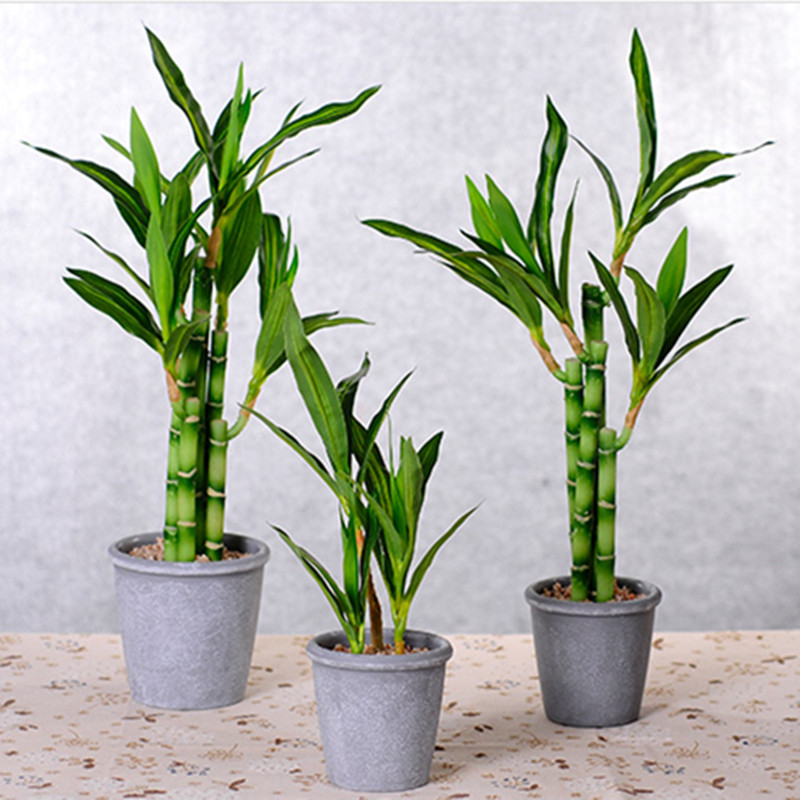 New 40cm rFtificial Lucky Bamb - Echeveria Succulent recensione e prezzo