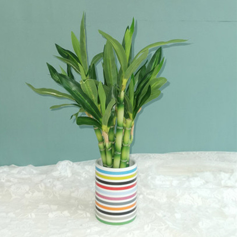 New 40cm rFtificial Lucky Bamb - Echeveria Succulent recensione e prezzo