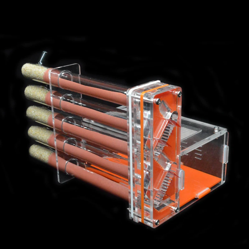 DIY Acrylic Ant Farm 5 pcs 18- - Begonia Rex recensione e prezzo