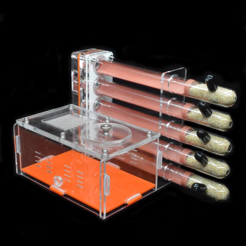 DIY Acrylic Ant Farm 5 pcs 18- - Begonia Rex recensione e prezzo
