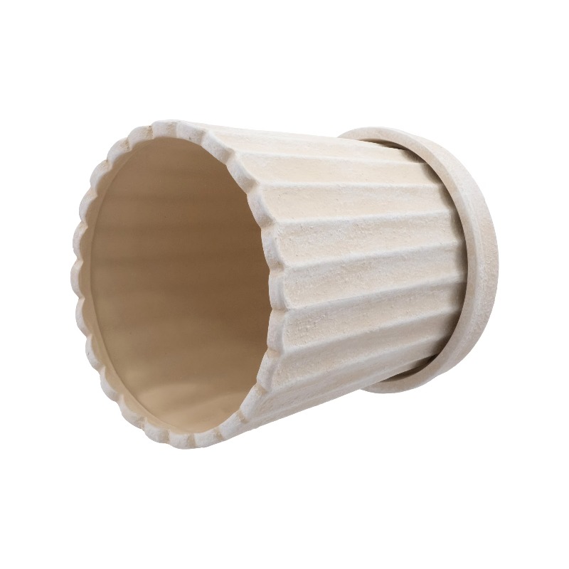 8 Inch Shell Planter Cream Cer - Aloe Vera Pot recensione e prezzo