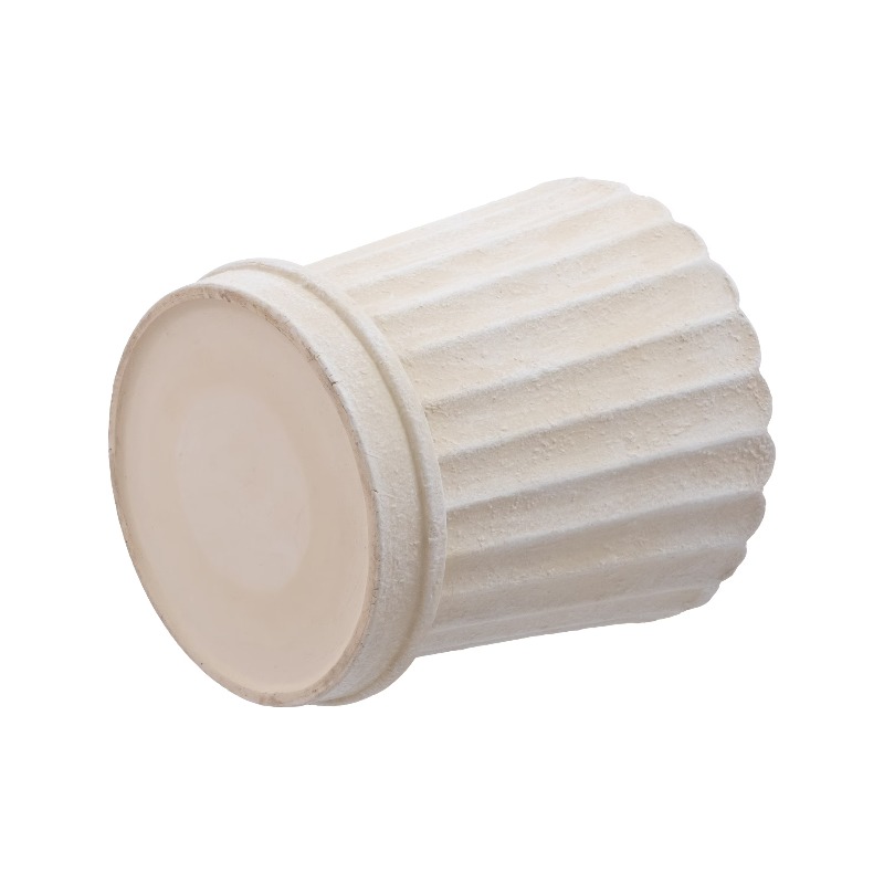 8 Inch Shell Planter Cream Cer - Aloe Vera Pot recensione e prezzo
