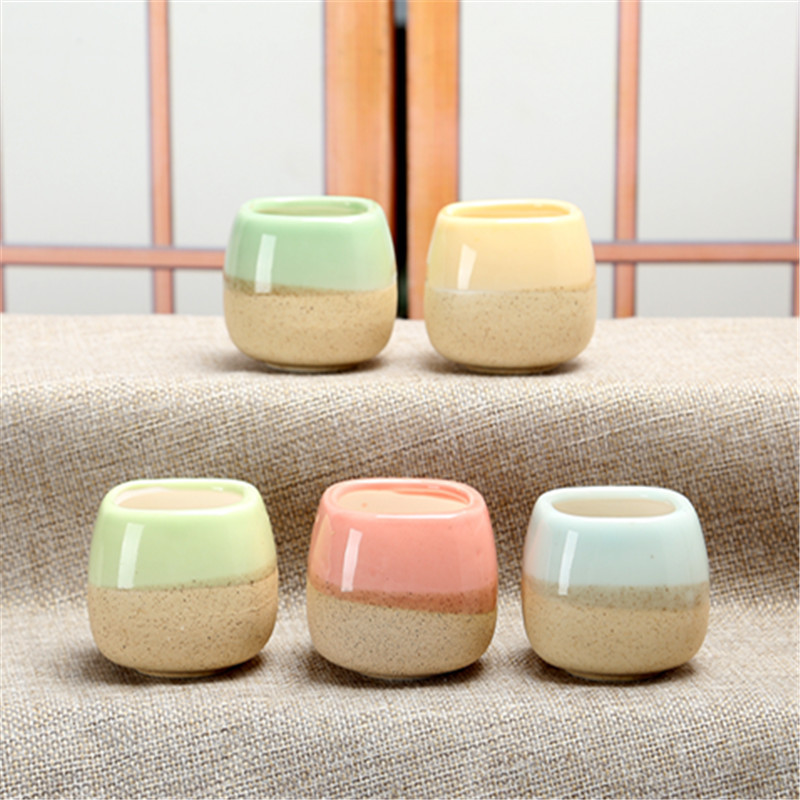 Mini Jelly Shape Cartoon Ceram - Echeveria Succulent recensione e prezzo