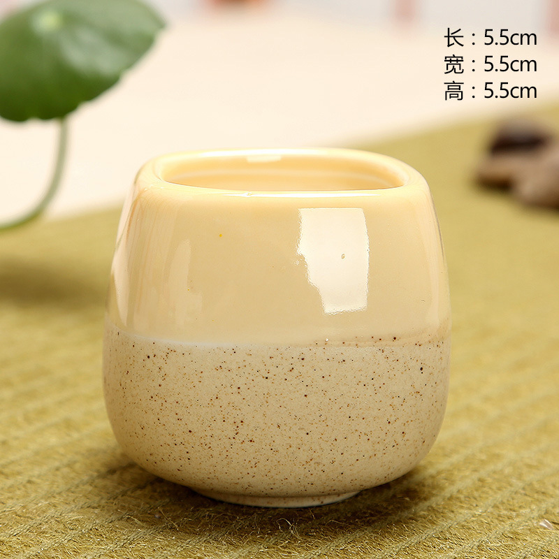 Mini Jelly Shape Cartoon Ceram - Echeveria Succulent recensione e prezzo