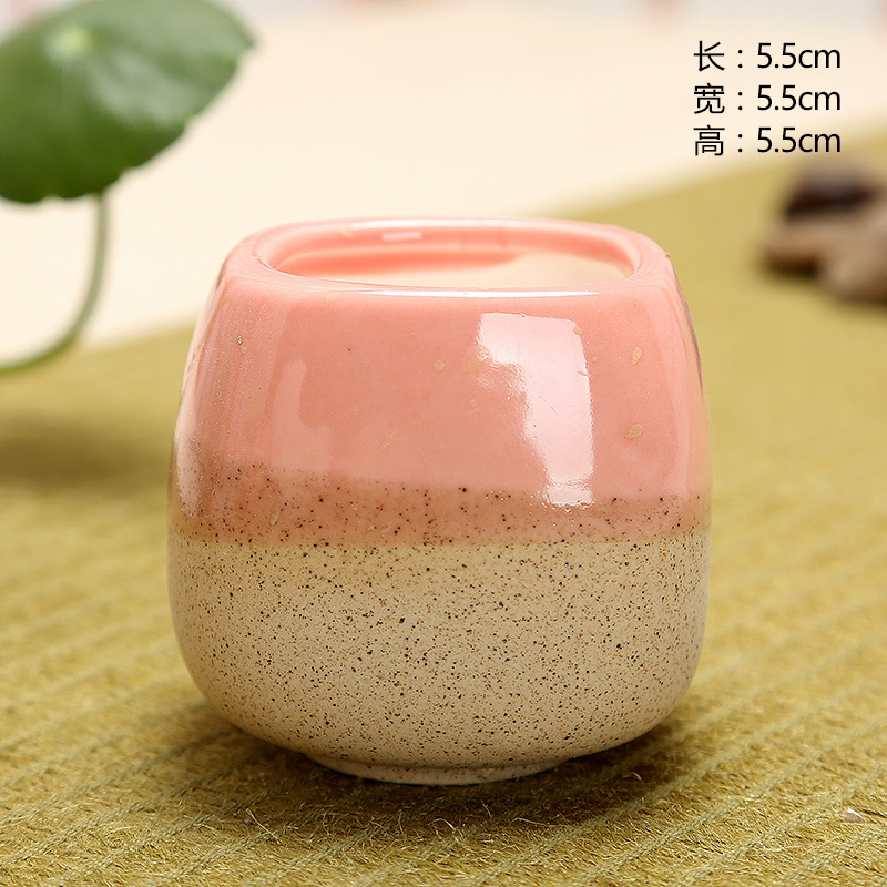 Mini Jelly Shape Cartoon Ceram - Echeveria Succulent recensione e prezzo