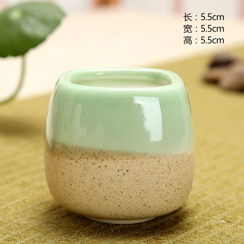 Mini Jelly Shape Cartoon Ceram - Echeveria Succulent recensione e prezzo