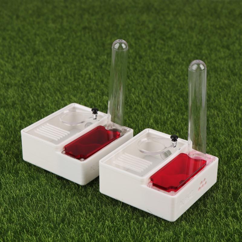 【Peace】3D Printed Ant Farm Que - Begonia Rex recensione e prezzo