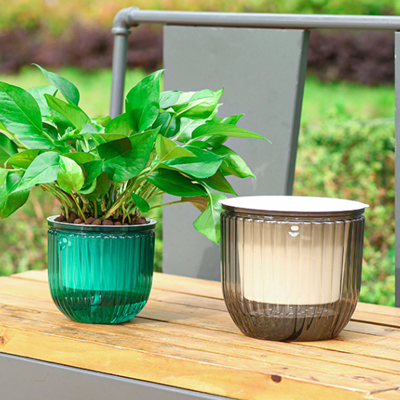 Automatic Self Watering Plant  - Spider Plant Hanging recensione e prezzo