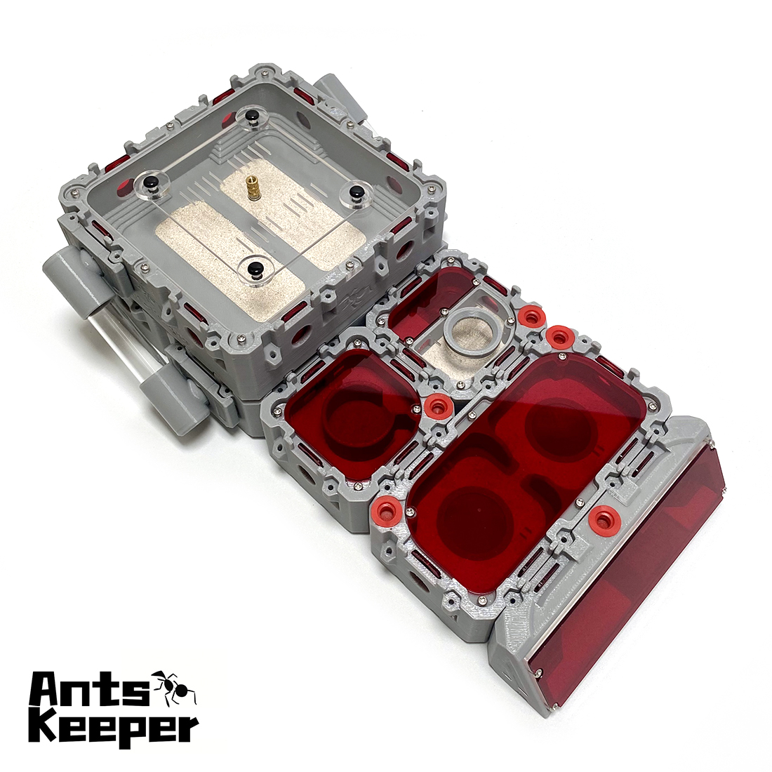 【Lego】Expandable Modular Formi - Begonia Rex recensione e prezzo