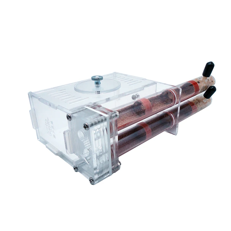 DIY Ant Farm 2 pcs 18-180mm Gy - Begonia Rex recensione e prezzo