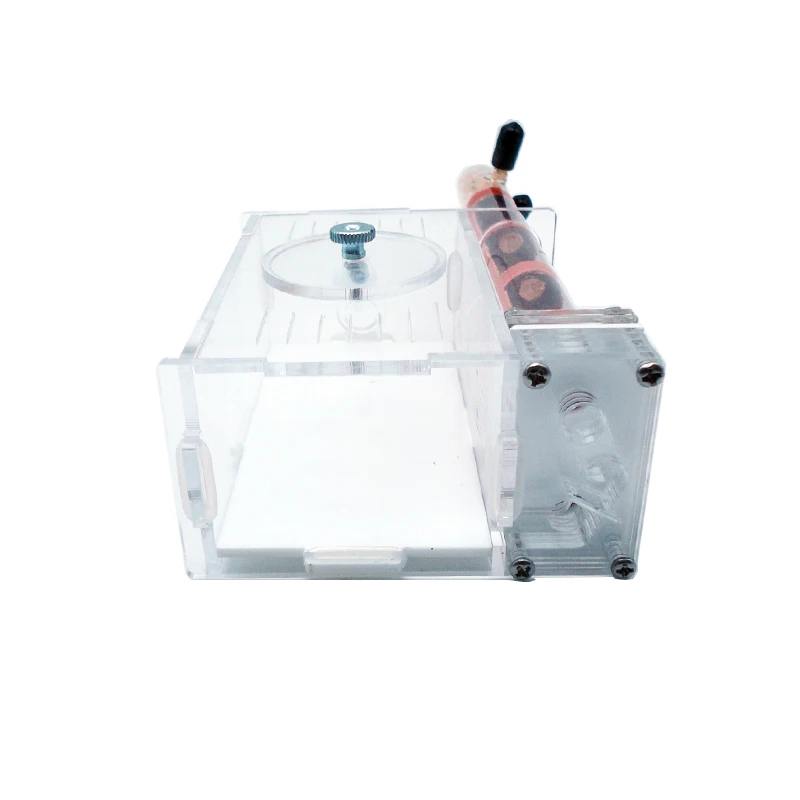 DIY Ant Farm 2 pcs 18-180mm Gy - Begonia Rex recensione e prezzo