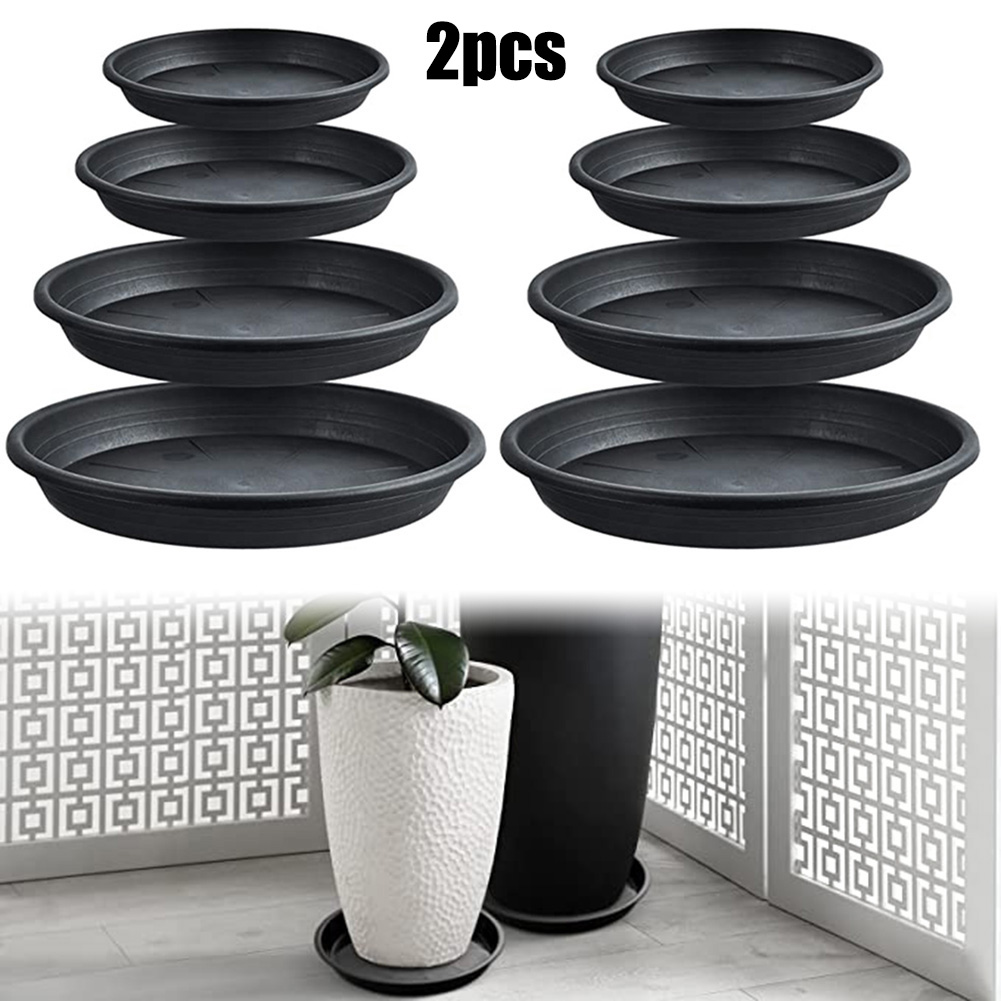 2pcs Plant Trays Round Succule - Echeveria Succulent recensione e prezzo