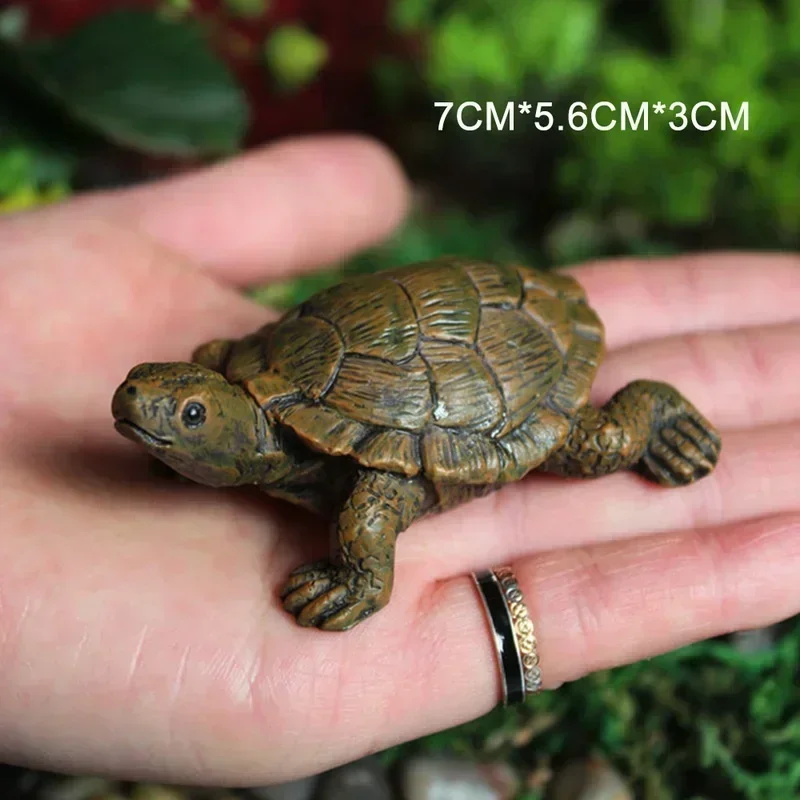Simulation of Small Turtle Res - Echeveria Succulent recensione e prezzo