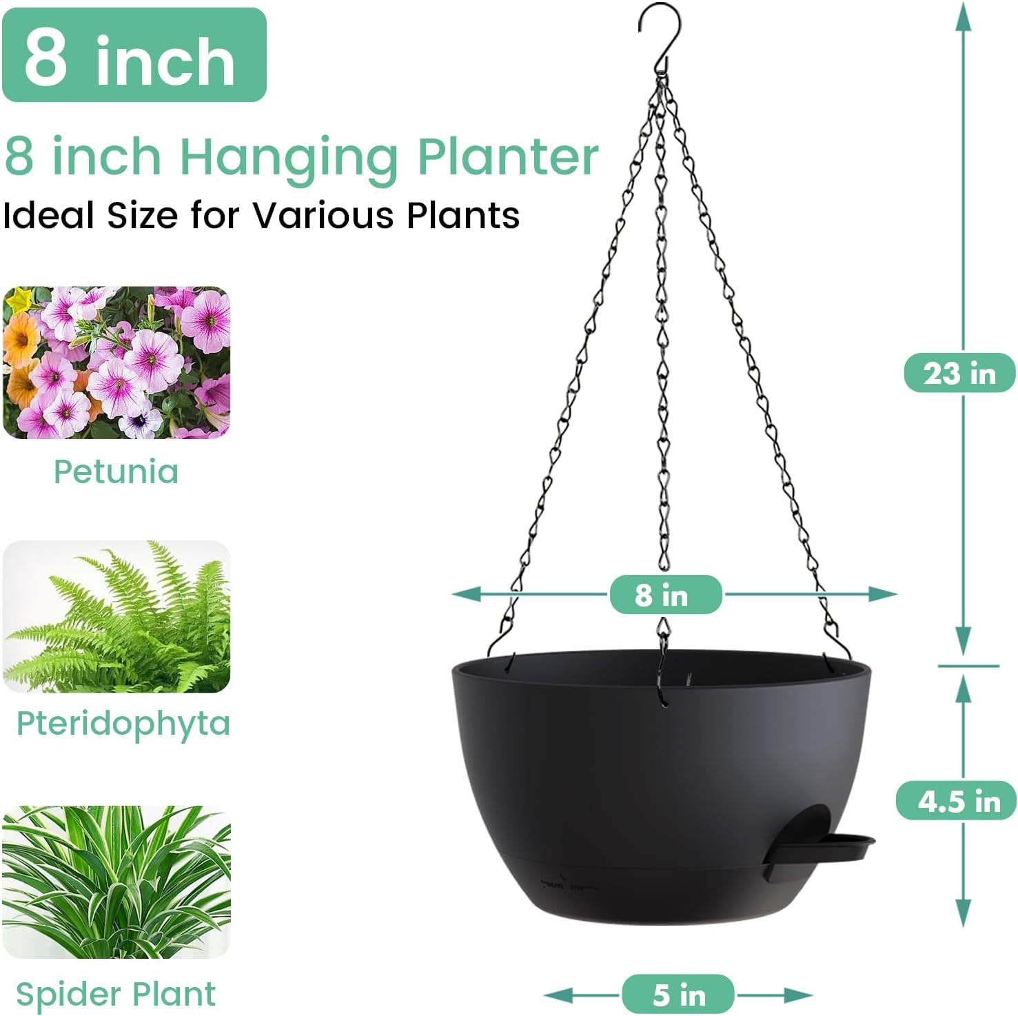 8 Inch Self Watering Hanging P - Spider Plant Hanging recensione e prezzo