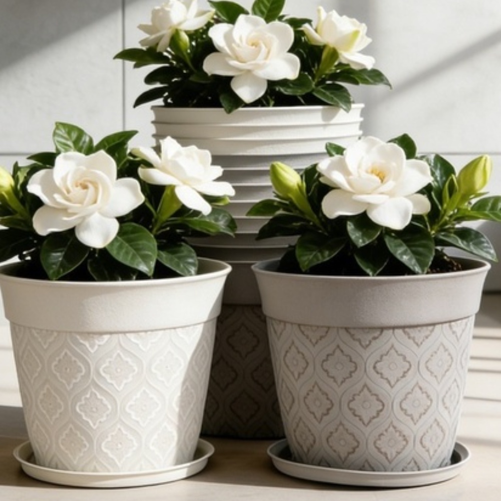 8in Flower Pot With Drainage H - Echeveria Succulent recensione e prezzo