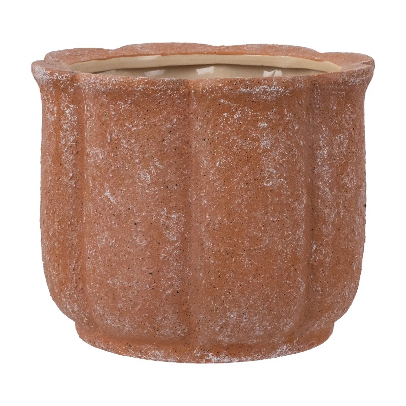 8in Terracotta Flower Planter  - Aloe Vera Pot recensione e prezzo