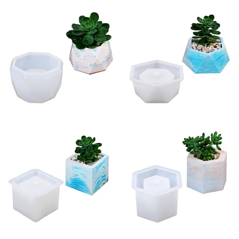Succulent Flowerpot Silicone M - Echeveria Succulent recensione e prezzo