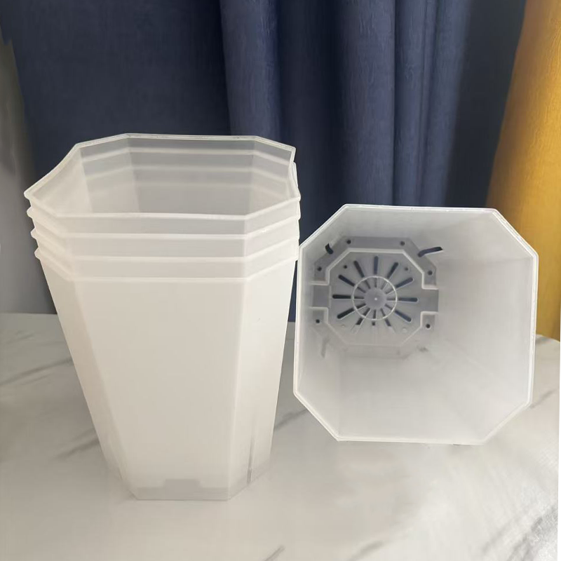 5PCS Transparent Flowerpot 15c - Echeveria Succulent recensione e prezzo
