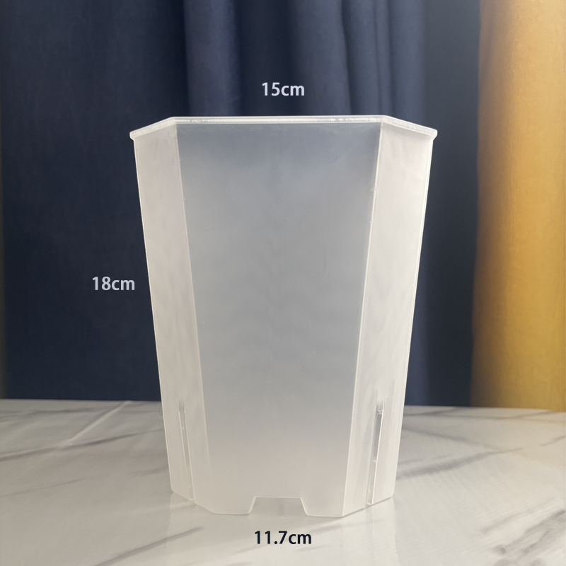 5PCS Transparent Flowerpot 15c - Echeveria Succulent recensione e prezzo