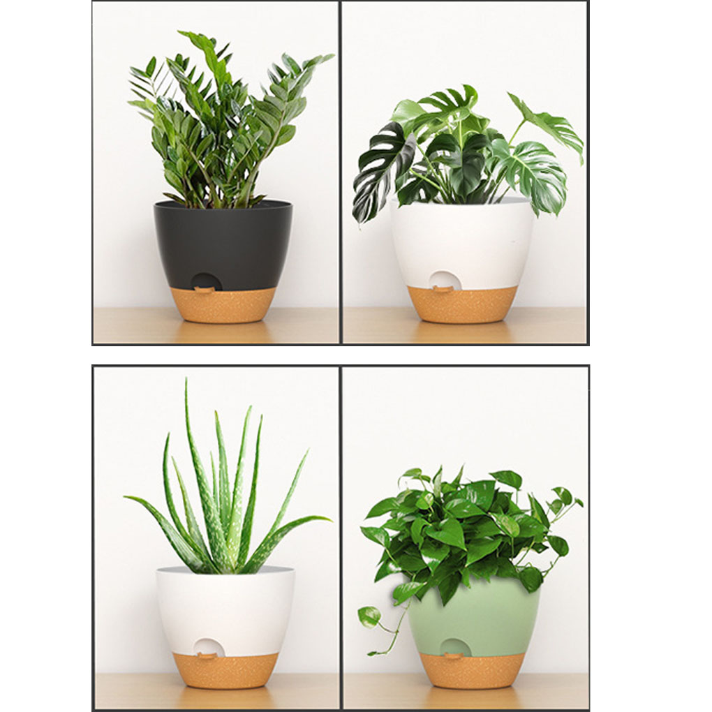 5piece Indoor Flower Pots With - Aloe Vera Pot recensione e prezzo