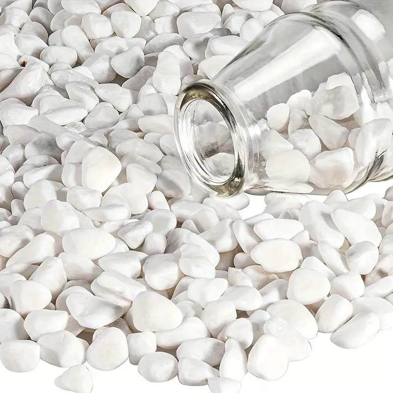 White Pebbles Decorative Stone - Echeveria Succulent recensione e prezzo
