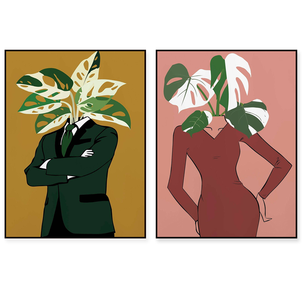Monstera Albo in a burgundy dr - Monstera Adansonii recensione e prezzo