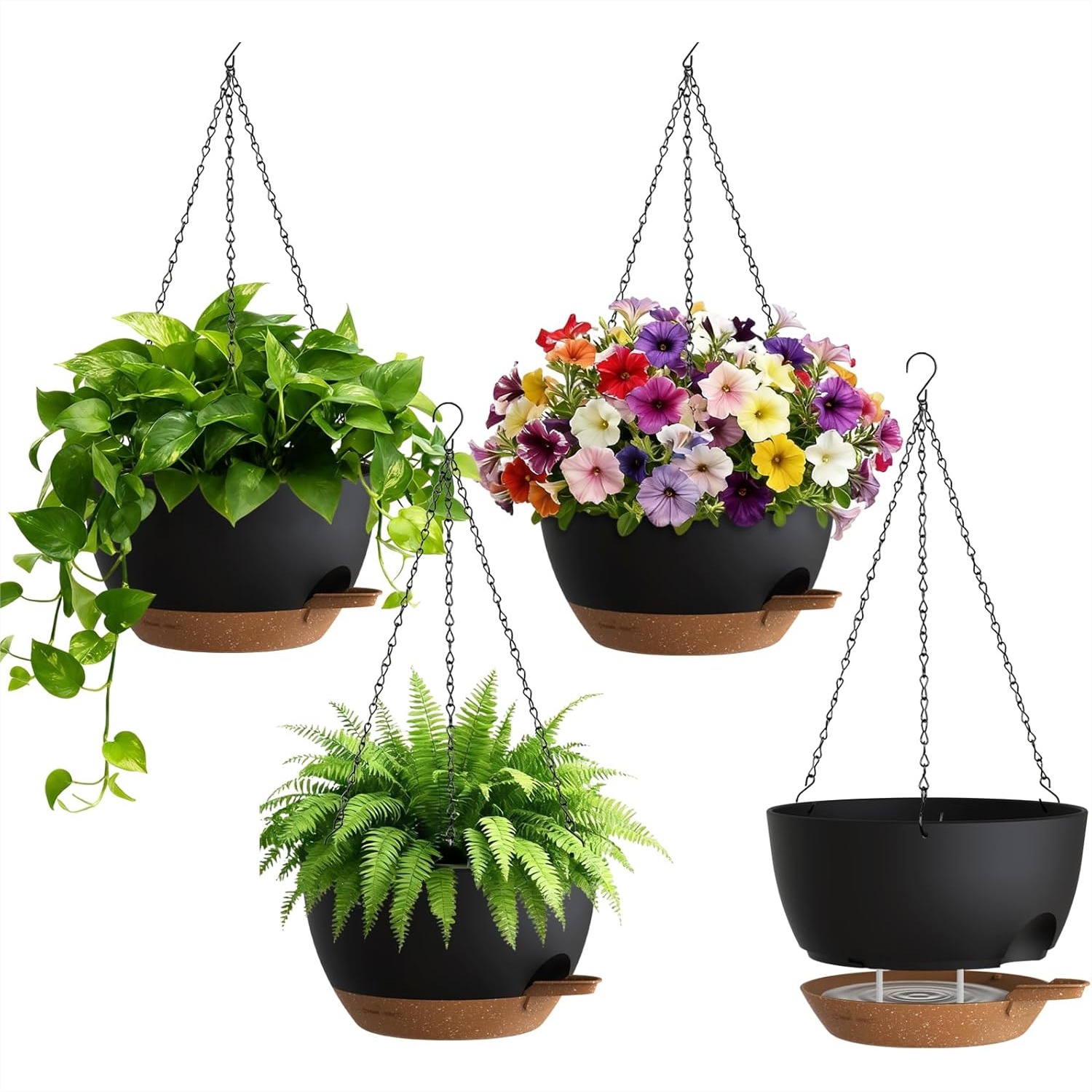 Self Watering Hanging Planters - Spider Plant Hanging recensione e prezzo