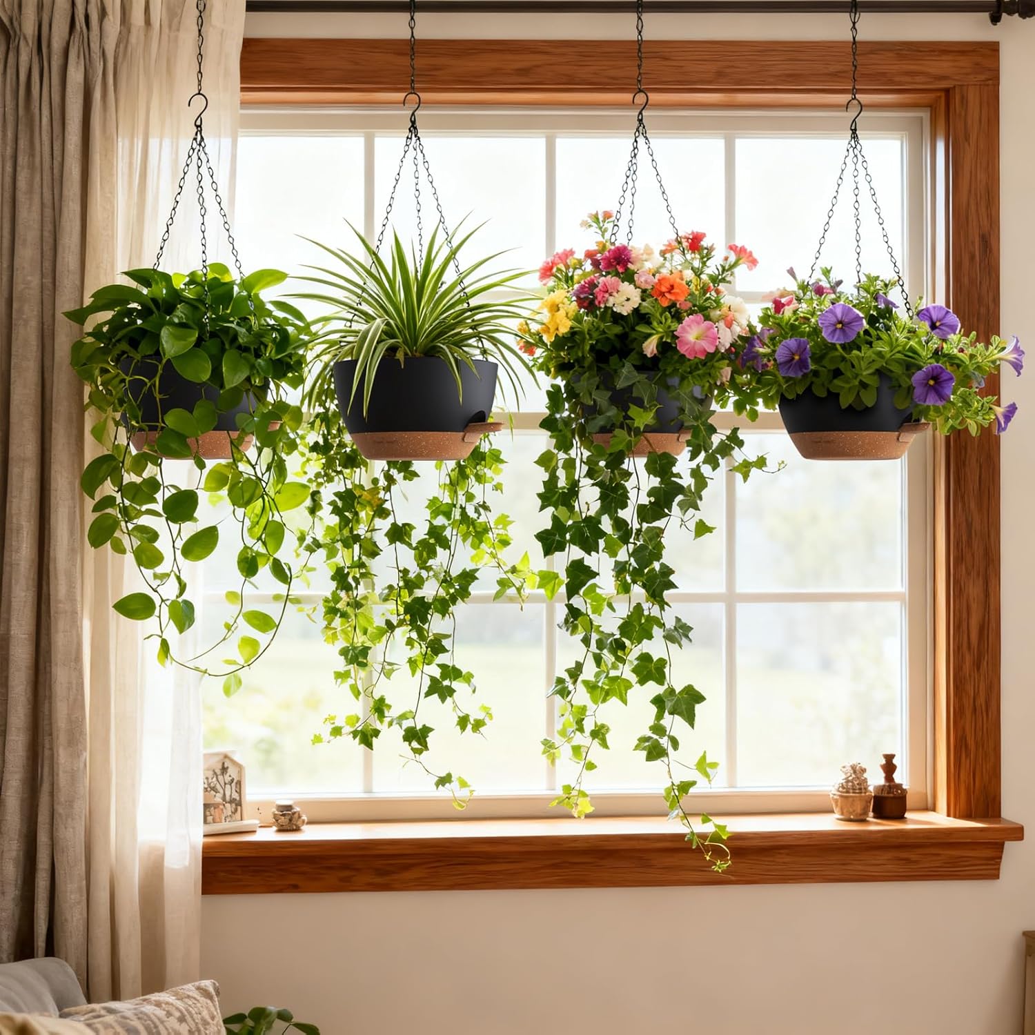 Self Watering Hanging Planters - Spider Plant Hanging recensione e prezzo