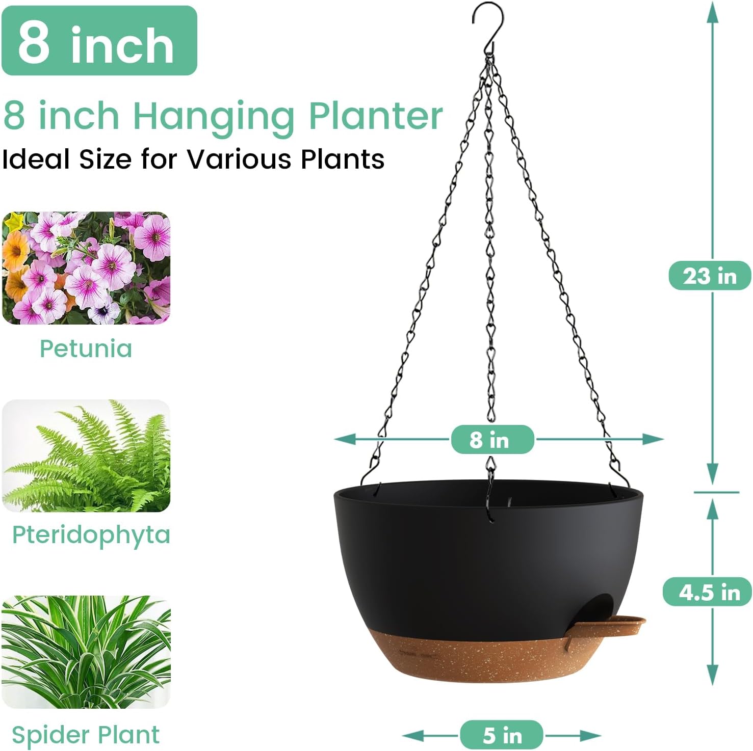 Self Watering Hanging Planters - Spider Plant Hanging recensione e prezzo