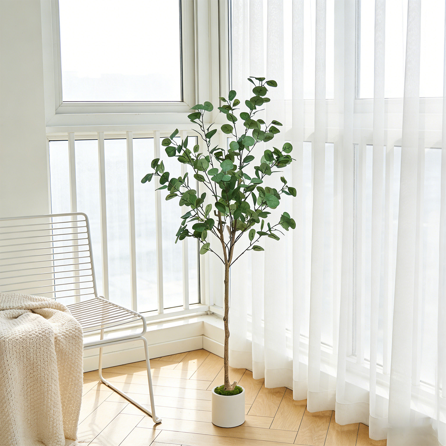 120-155Cm/5.1Ft Artificial Euc - Dracaena Marginata recensione e prezzo