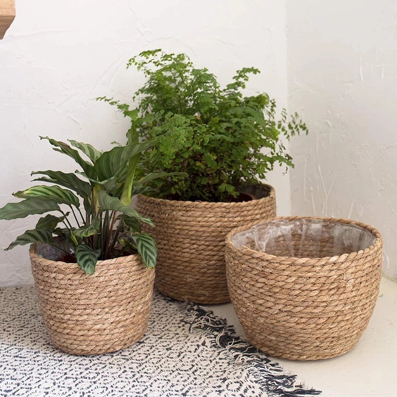 Straw Weaving Flower Plant Pot - Aloe Vera Pot recensione e prezzo