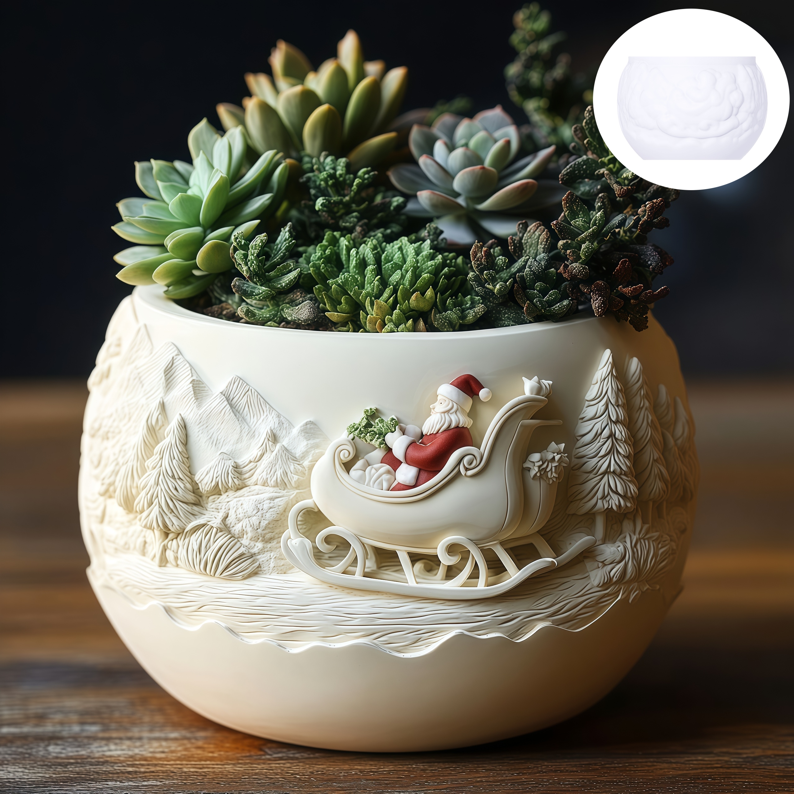 Cedar Sled Santa Claus Relief  - Echeveria Succulent recensione e prezzo