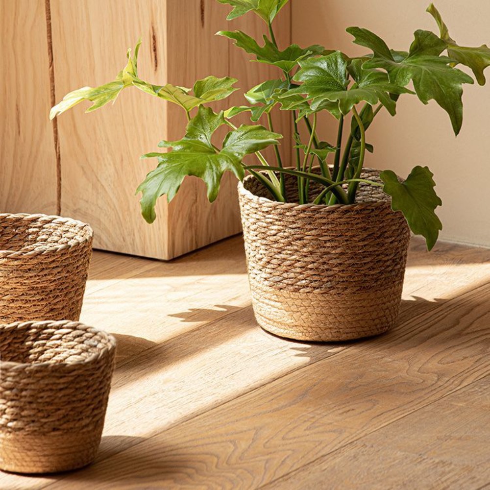 Straw Weaving Flower Plant Pot - Aloe Vera Pot recensione e prezzo