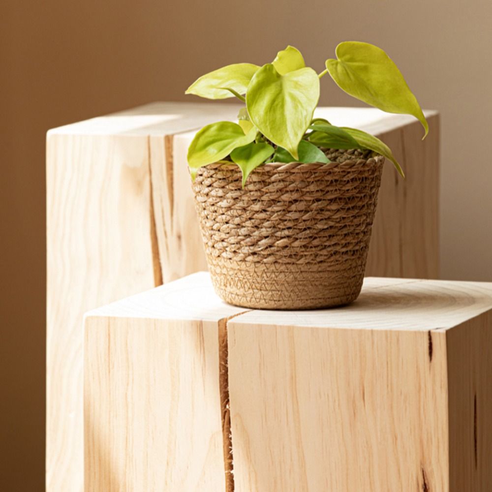 Straw Weaving Flower Plant Pot - Aloe Vera Pot recensione e prezzo