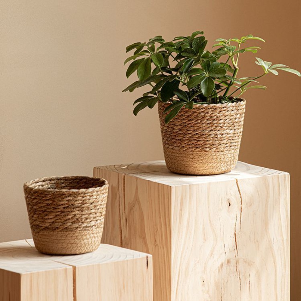 Straw Weaving Flower Plant Pot - Aloe Vera Pot recensione e prezzo