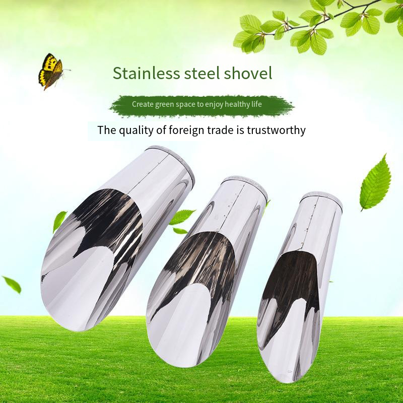 Stainless Steel Bucket Shovel  - Echeveria Succulent recensione e prezzo