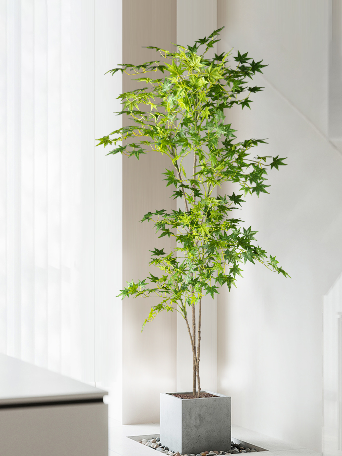 70-140cm Artificial Maple Tree - Dracaena Marginata recensione e prezzo