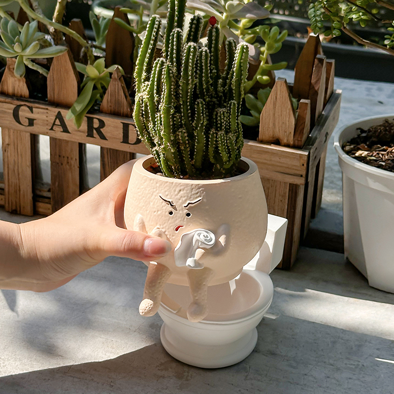 Funny Ghost Toilet Resin Succu - Echeveria Succulent recensione e prezzo
