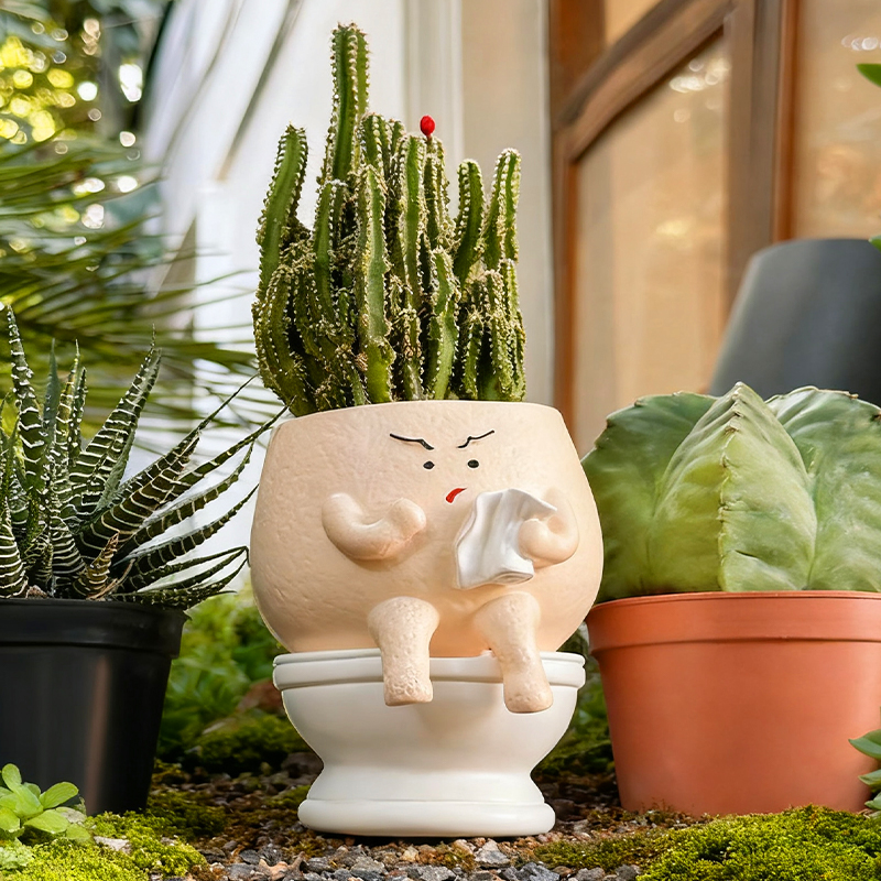 Funny Ghost Toilet Resin Succu - Echeveria Succulent recensione e prezzo