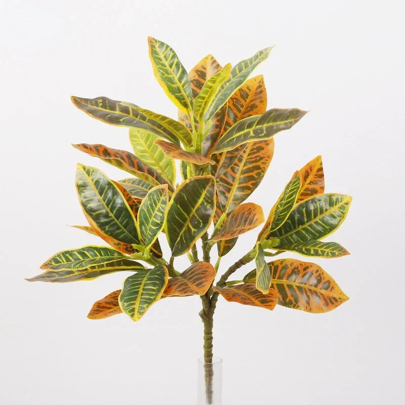 Plastic Artificial Color-chang - Dracaena Marginata recensione e prezzo