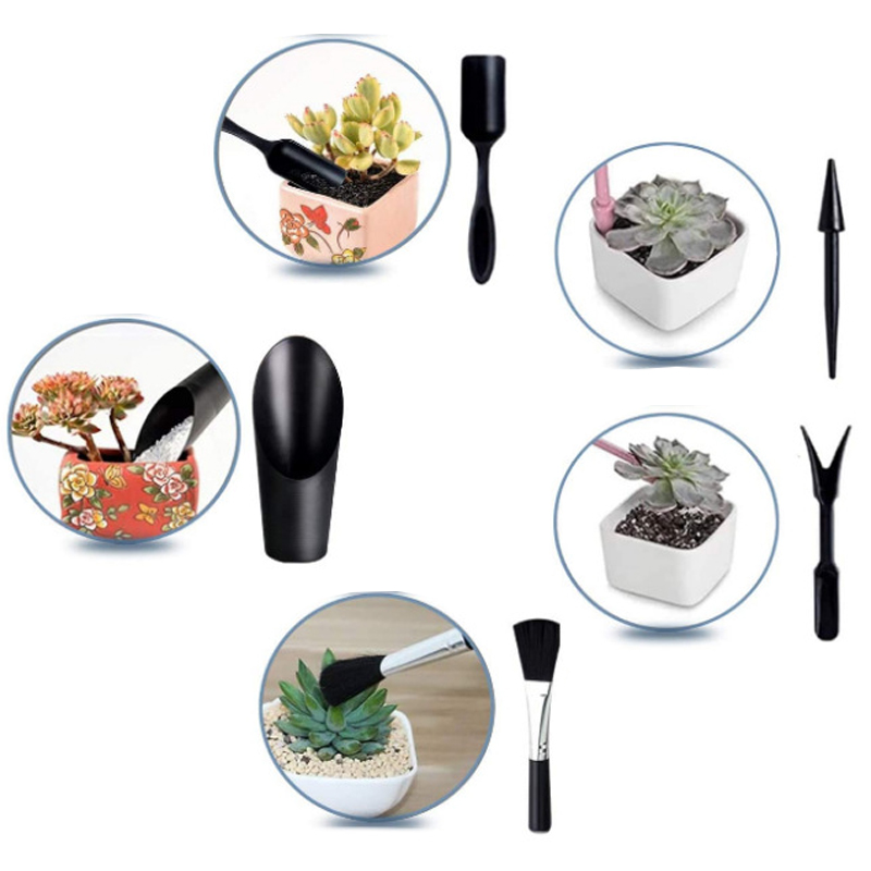 Mini Gardening Tool Set Label  - Echeveria Succulent recensione e prezzo