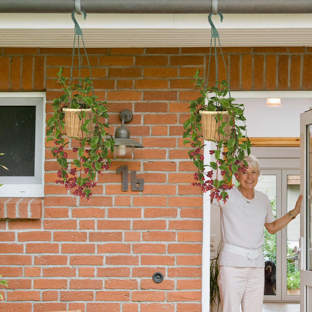 5Pcs Hanging Planter Hooks Ver - Spider Plant Hanging recensione e prezzo