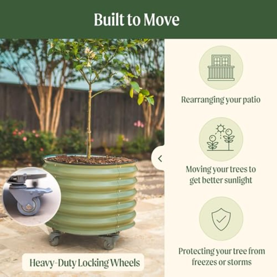 Self-Watering Rolling Metal Ci - Aloe Vera Pot recensione e prezzo